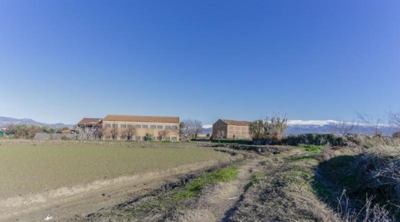 Granada - Cúllar Vega - 7750m2