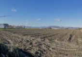 Non-developable land for sale on España, Cúllar Vega, ref: TR235602 photo