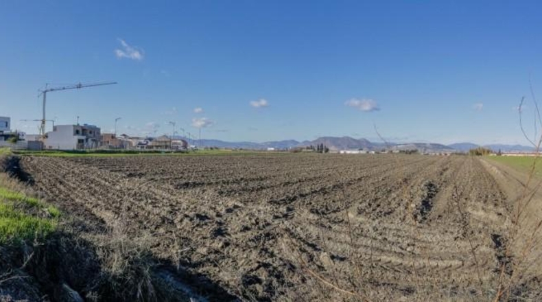 Granada - Cúllar Vega - 7750m2