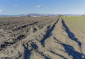 Non-developable land for sale on España, Cúllar Vega, ref: TR235602 photo