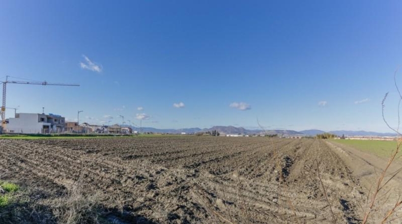 Granada - Cúllar Vega - 7750m2