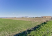 Non-developable land for sale on España, Cúllar Vega, ref: TR235602 photo