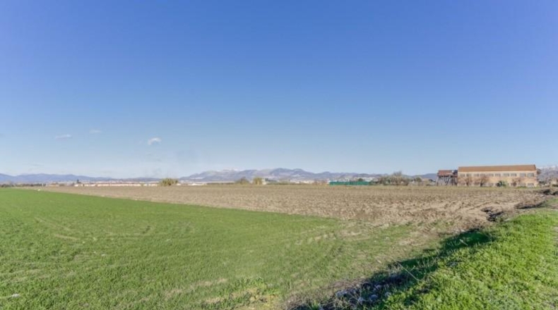 Granada - Cúllar Vega - 7750m2