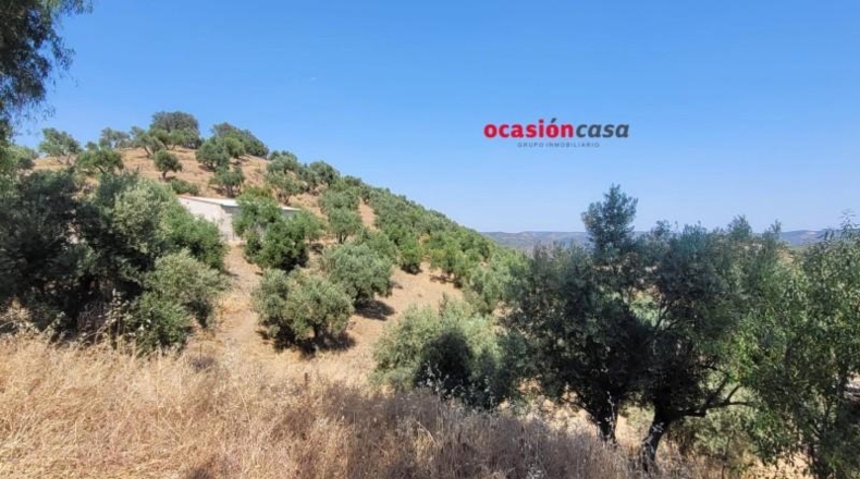 Córdoba - Пособланко - 60492m2