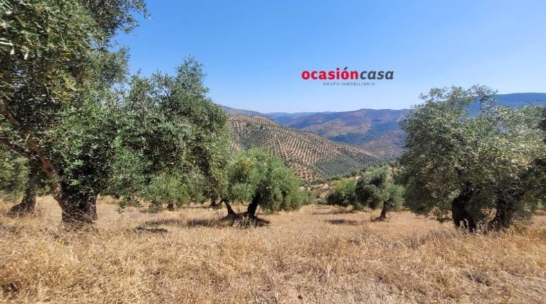 Córdoba - Пособланко - 60492m2