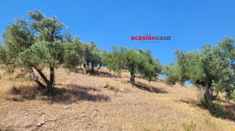 Córdoba - Пособланко - 60492m2