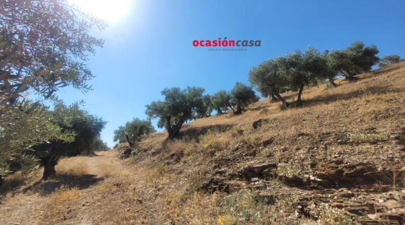 Córdoba - Пособланко - 60492m2