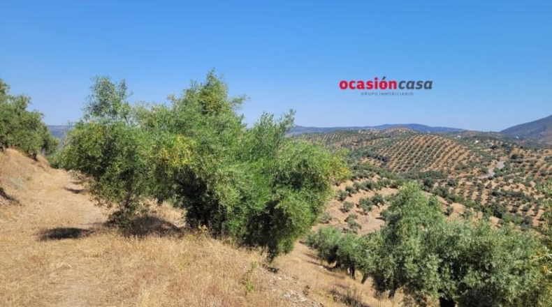 Córdoba - Пособланко - 60492m2