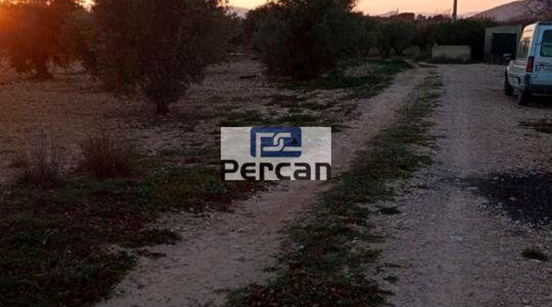 Alicante - Villena - 29758m2