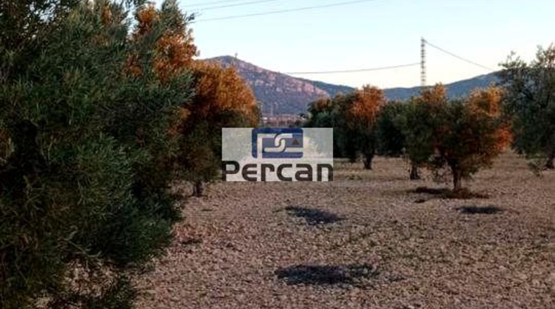 Alicante - Villena - 29758m2