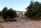 Terreny no urbanitzable en venda a la España, Villena, ref.: TR184375 foto
