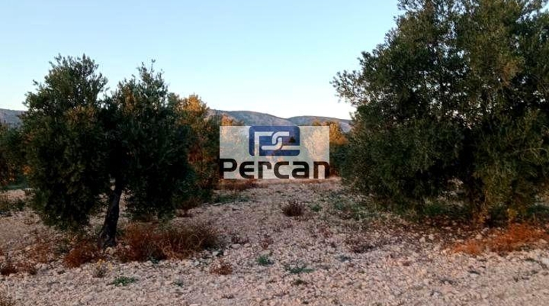 Alicante - Villena - 29758m2