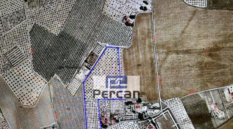 Alicante - Villena - 29758m2
