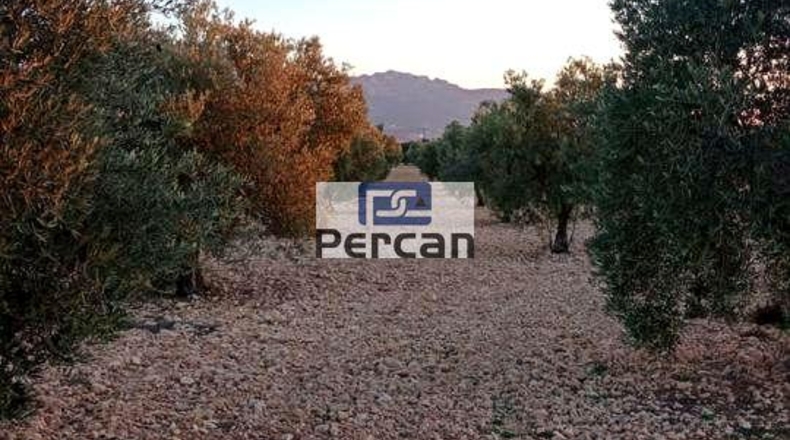 Alicante - Villena - 29758m2