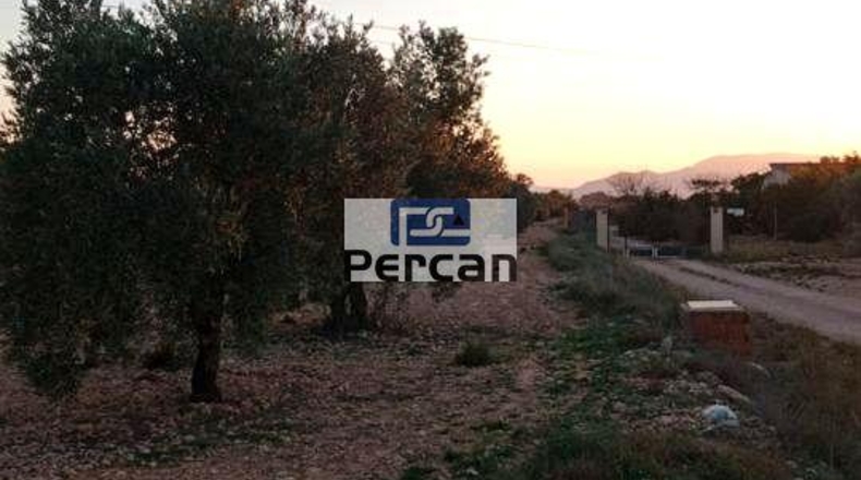 Alicante - Villena - 29758m2