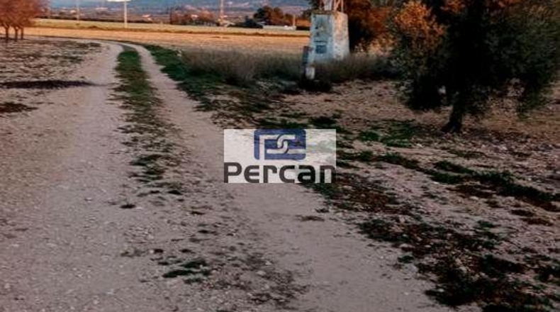 Alicante - Villena - 29758m2