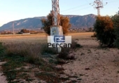 Terreny no urbanitzable en venda a la España, Villena, ref.: TR184375 foto