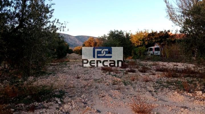 Alicante - Villena - 29758m2