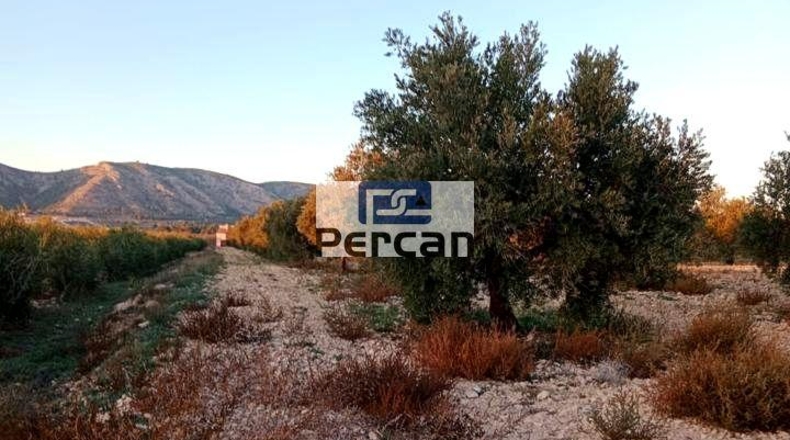 Alicante - Villena - 29758m2