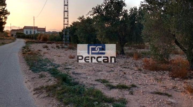 Alicante - Villena - 29758m2