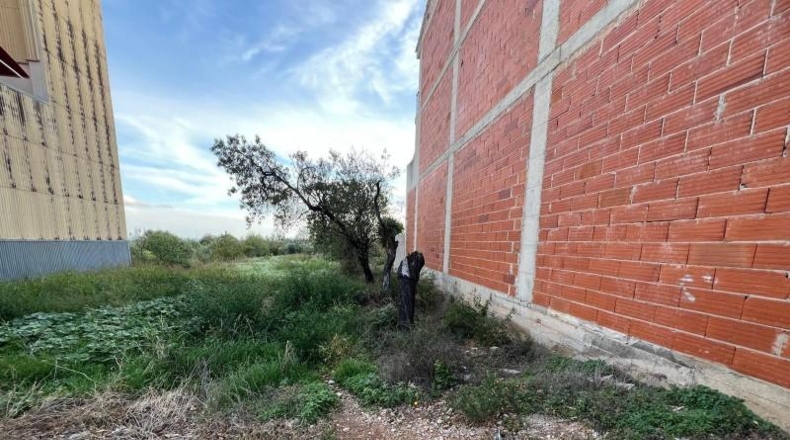 Tarragona - Alcanar - 254m2