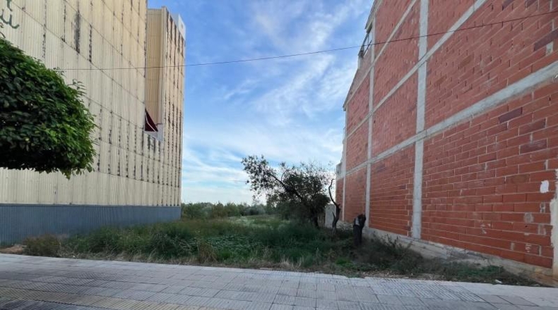 Tarragona - Alcanar - 254m2