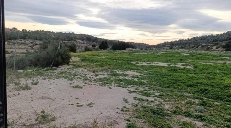 Alicante - Algueña - 7461m2