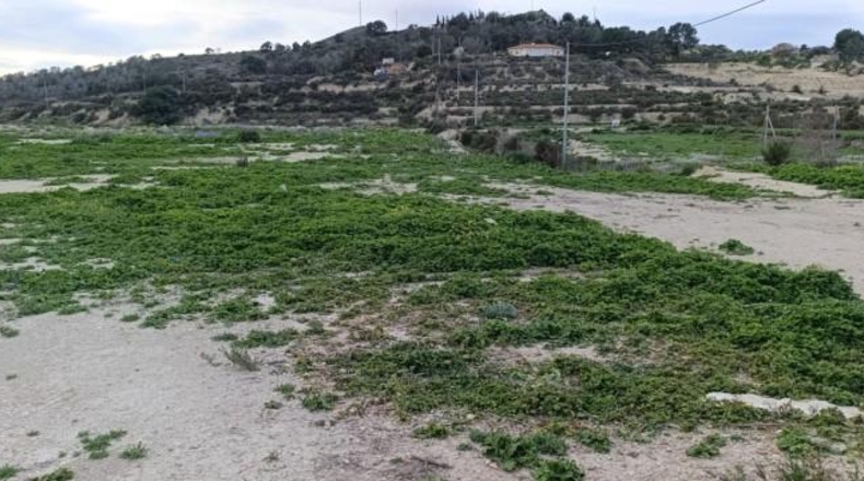 Alicante - Algueña - 7461m2