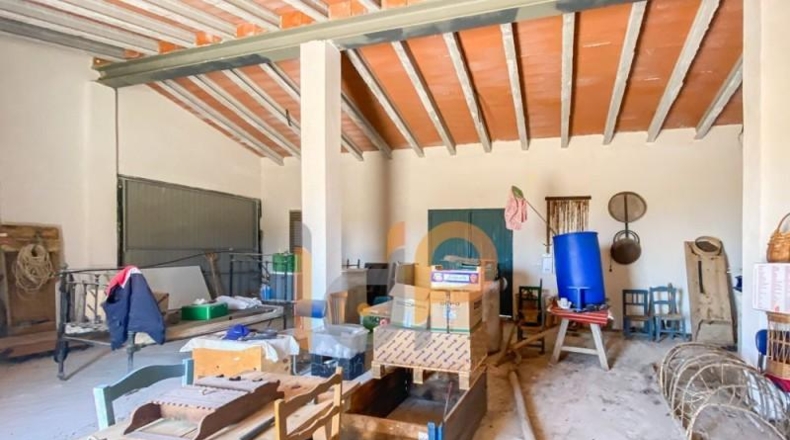 Almería - Huércal-Overa - 12000m2