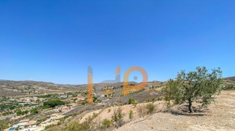 Almería - Huércal-Overa - 12000m2