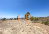 Land suitable for development for sale on España, Huércal-Overa, ref: TR375881 photo