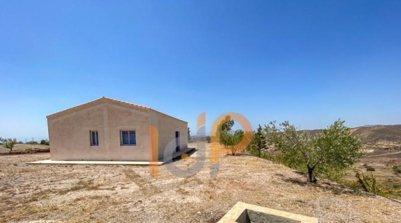 Almería - Huércal-Overa - 12000m2