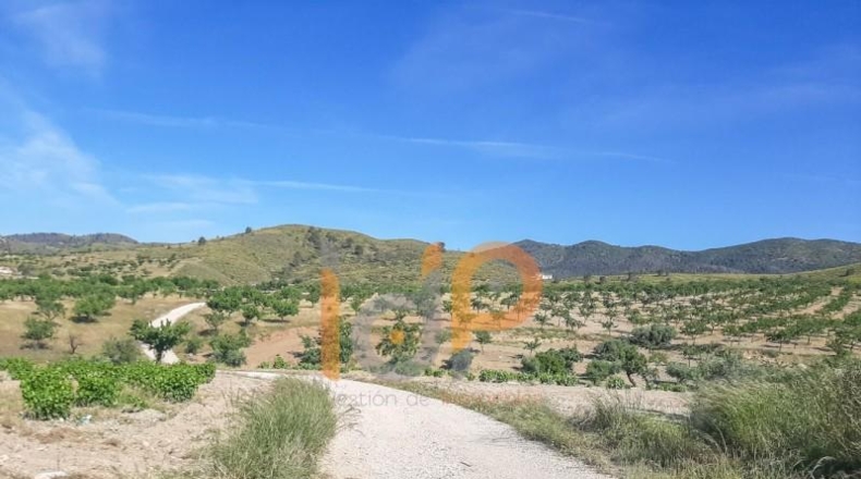 Murcia - Lorca - 122202m2
