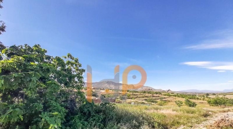 Murcia - Lorca - 122202m2