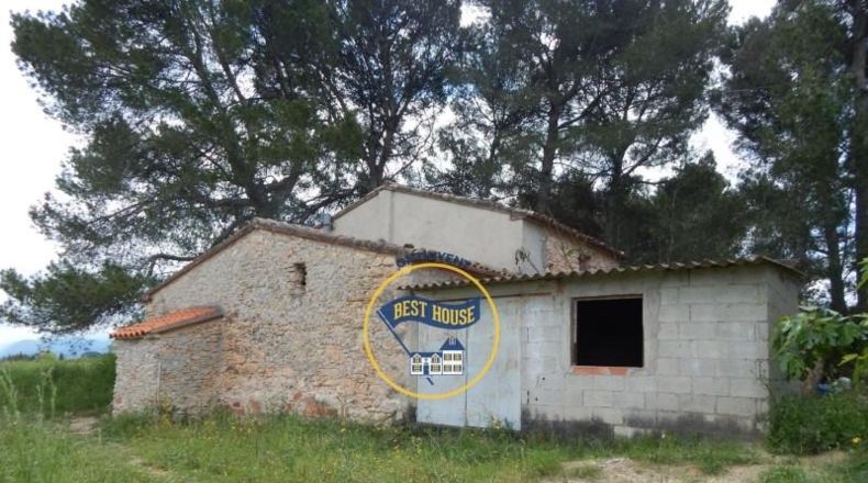 Valencia - Bélgida - 38776m2
