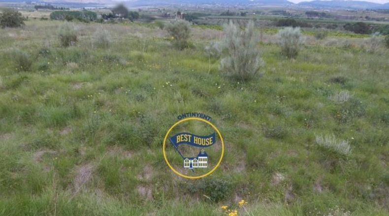 Valencia - Bélgida - 38776m2