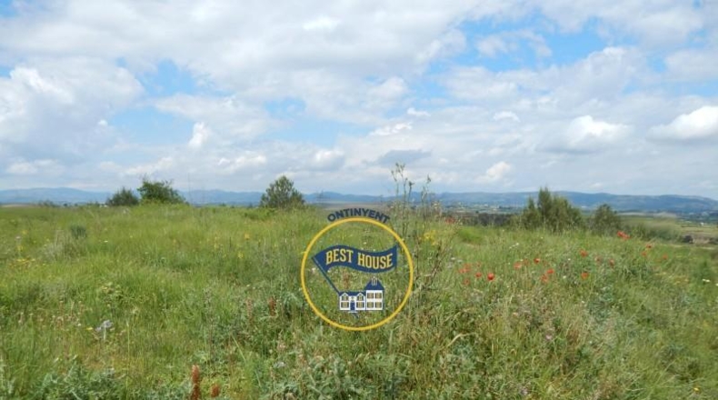 Valencia - Bélgida - 38776m2