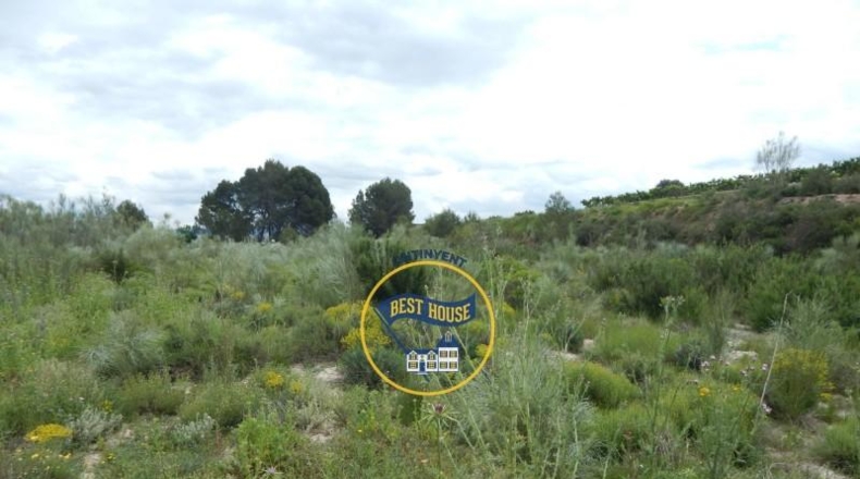 Valencia - Bélgida - 38776m2