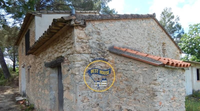 Valencia - Bélgida - 38776m2