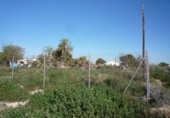 Terreny no urbanitzable en venda a la España, Mutxamel, ref.: TR371331 foto
