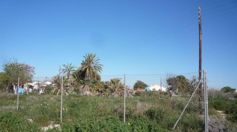 Alicante - Muchamiel - 1500m2
