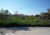 Terreny no urbanitzable en venda a la España, Mutxamel, ref.: TR371331 foto