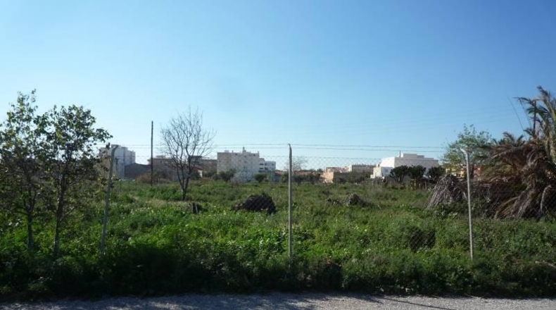 Alicante - Muchamiel - 1500m2
