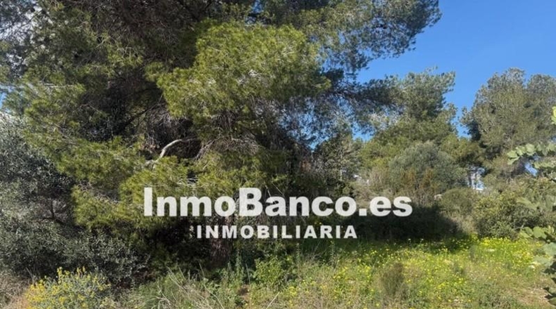 Valencia - Torrente - 627m2