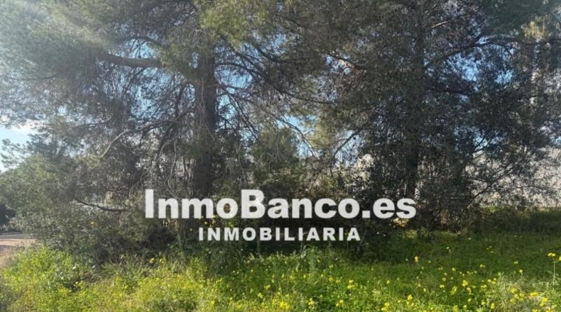 Valencia - Torrente - 627m2