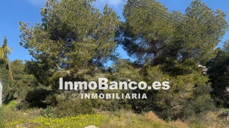 Valencia - Torrente - 627m2