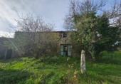 Xalet independent amb terreny en venda a la España, Chaves, ref.: TR291346 foto