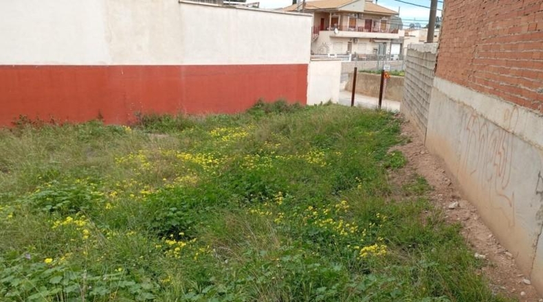 Murcia - Murcia - 230m2