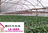 Terreny no urbanitzable en venda a la España, Sanlúcar de Barrameda, ref.: TR243178 foto