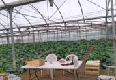 Terreny no urbanitzable en venda a la España, Sanlúcar de Barrameda, ref.: TR243178 foto